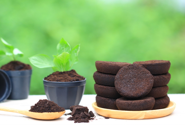 kafeesatz, kalk, wasser fuer Zero Waste Gardening