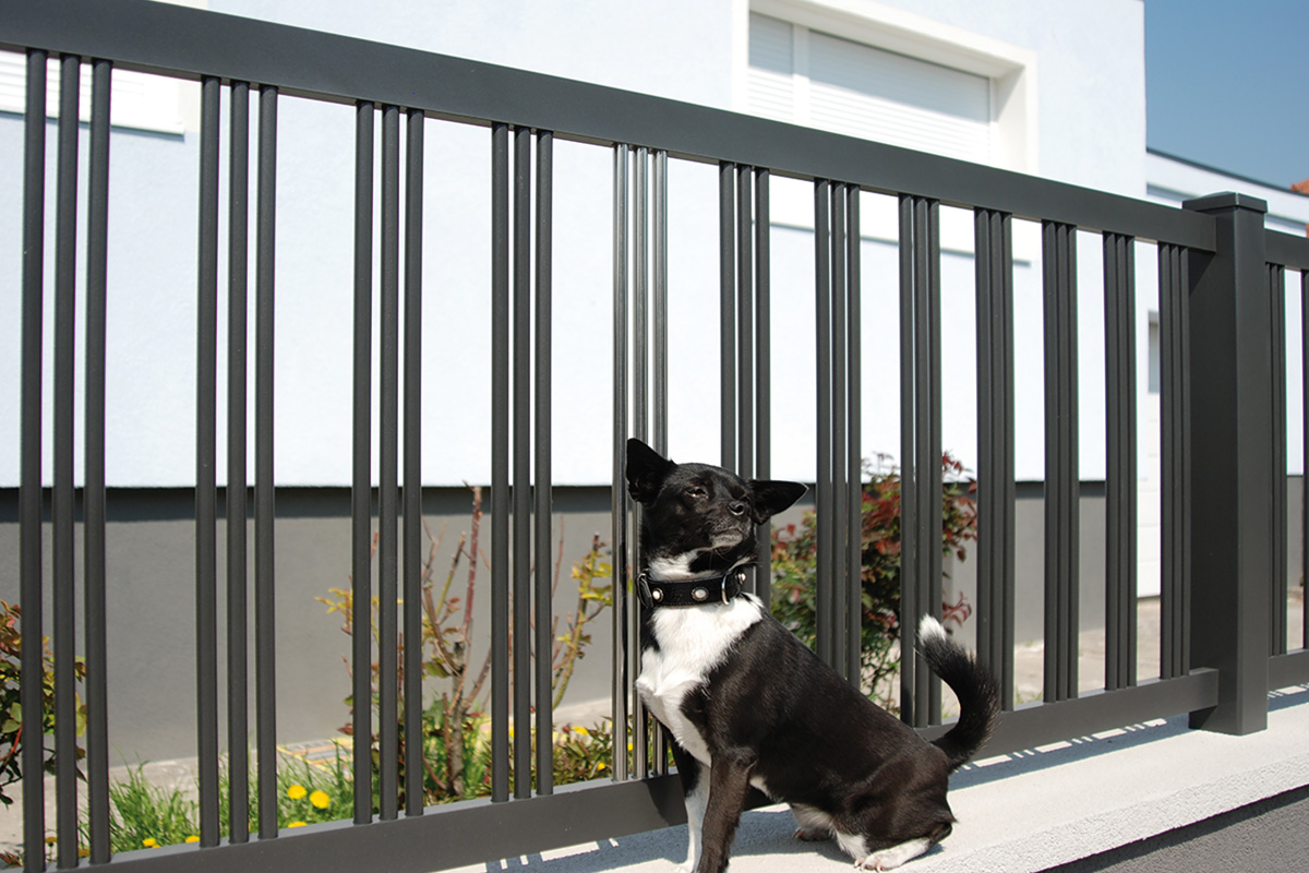 moderner Zaun aus Aluminium in Anthrazit mit kleinem Hund im Vordergrund