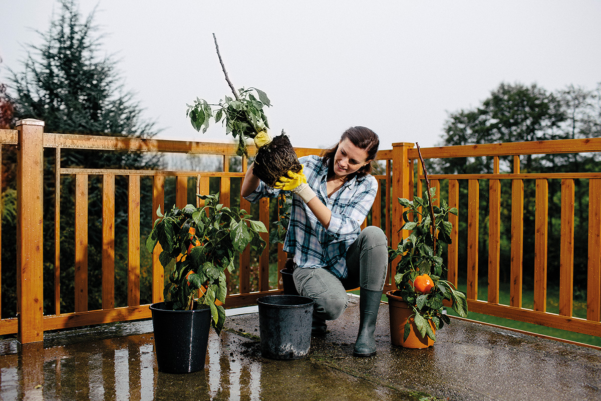 frau beim home gardening vor balkon in holz farbe