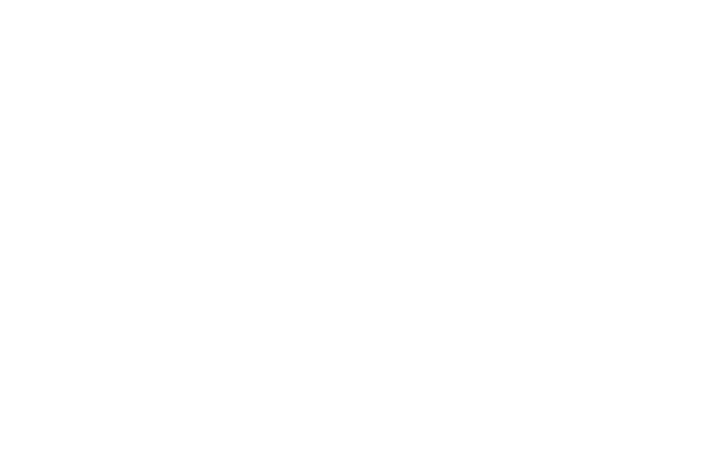 Wem gehört der Zaun an der Grenze? GUARDI