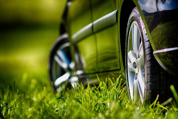 Zu sehen sind die Reifen eines Autos, das auf einer Rasenfläche geparkt ist